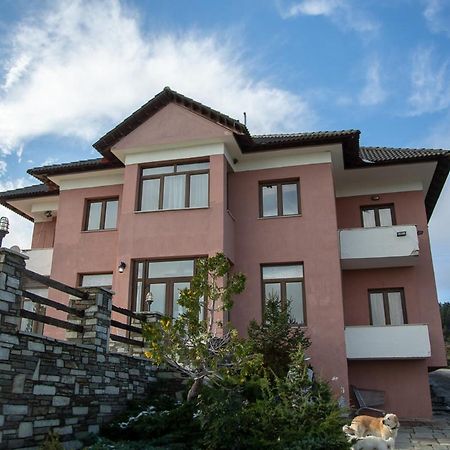 Vasilitsa Rooms Smixi Dış mekan fotoğraf