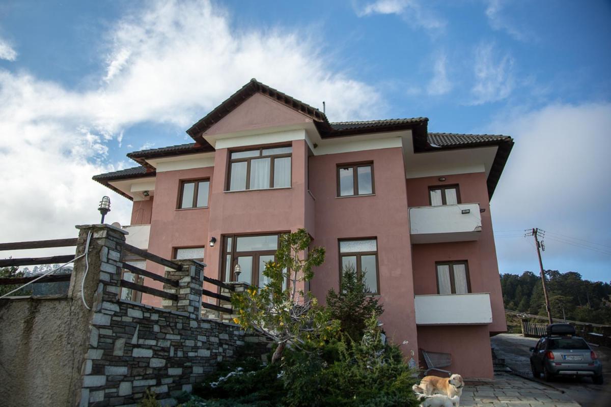 Vasilitsa Rooms Smixi Dış mekan fotoğraf